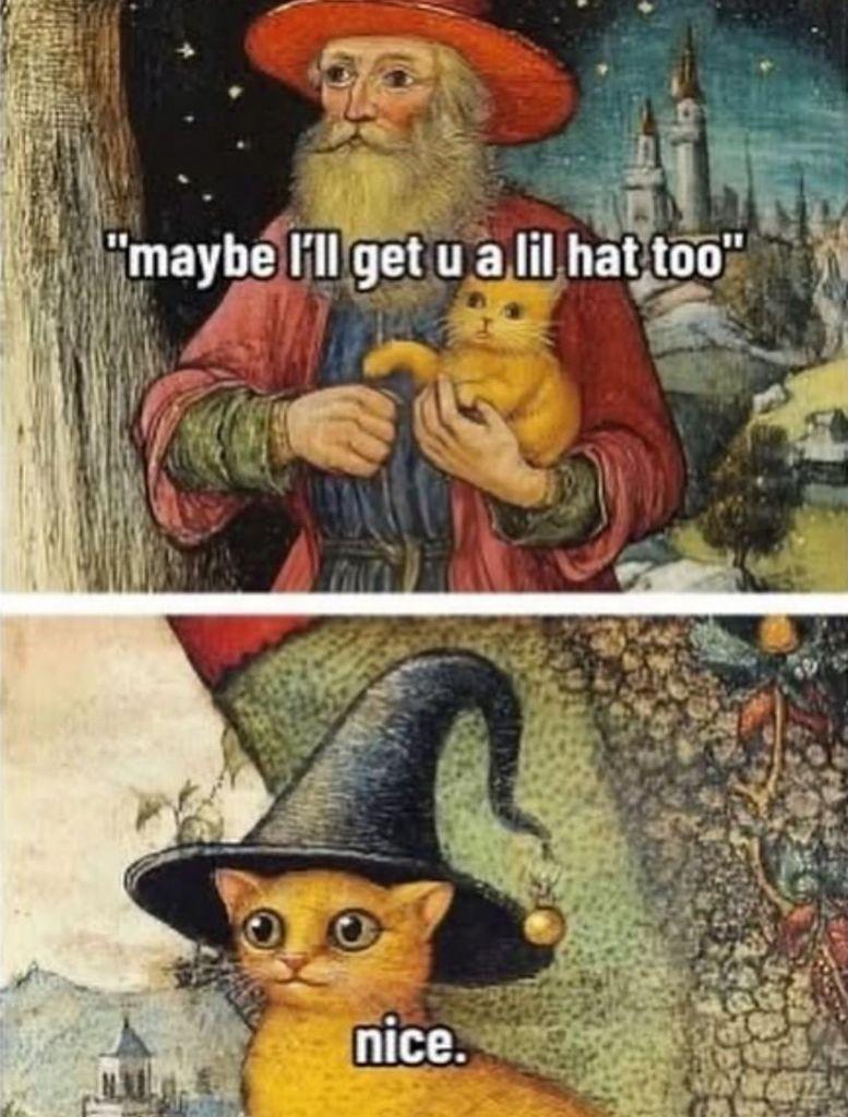 A two-panel meme: The top panel shows a wizard holding a small orange kitten, with text saying, "maybe I'll get u a lil hat too". The bottom panel shows a close-up of the kitten, now wearing a pointed wizard's hat, with text saying, "nice."
