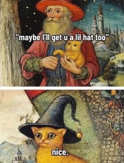 A two-panel meme: The top panel shows a wizard holding a small orange kitten, with text saying, "maybe I'll get u a lil hat too". The bottom panel shows a close-up of the kitten, now wearing a pointed wizard's hat, with text saying, "nice."