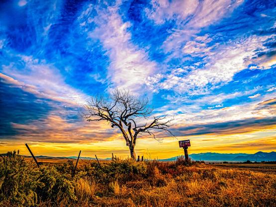 The rhythm of the plains.
Hello-Goodbye Tree — my homage to Thomas Hart Benton, blending painterly motion and Haas color in a single fine-art photograph.
Limited-edition matte-metal print.
#FineArtLandscape #ThomasHartBenton #AmericanRegionalism #HaasStyle #PainterlyPhotography #HelloGoodbyeTree #RobertNPhotographer #GalleryArt #MatteMetalPrint #AmericanWest #LandscapeCollectors