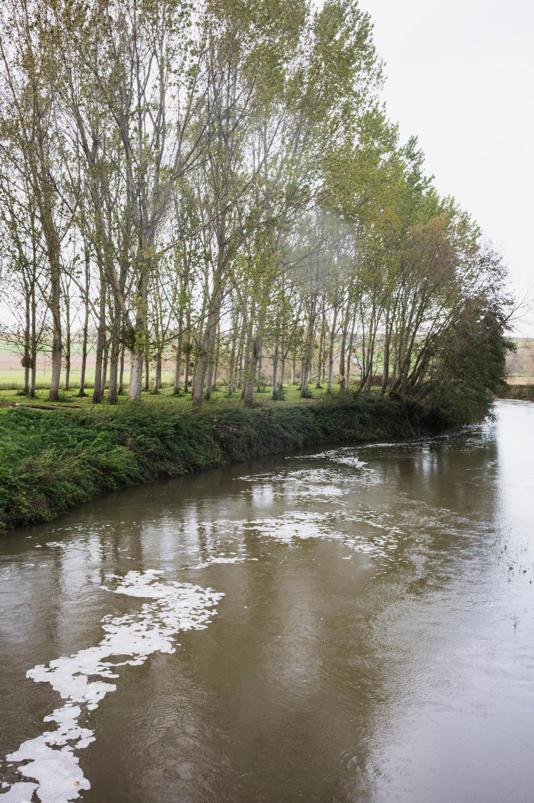 A La Ferté-sur-Chiers (Ardennes), la rivière mousse à cause d'un épandage des boues industrielles issues de la papeterie Stenpa.