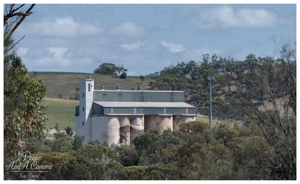 Wirrabara Silos, a historic white grain storage facility, partially obscured by green and brown Australian native trees in the foreground.

The silos are nestled in a valley with dry, rolling green hills under a partly cloudy blue sky. Photo signed Kev Peirce.
