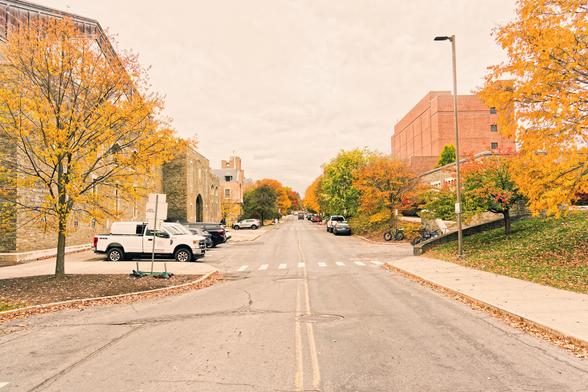 Looking down a road with lots of cars parked on the side but also some large builings on the left and right side as well as numerous yellow and green trees