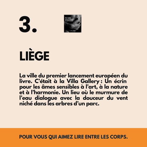 3. LIÈGE
La ville du premier lancement européen du livre. C’était à la Villa Gallery : un écrin pour les âmes sensibles à l’art, à la nature et à l’harmonie. Un lieu où le murmure de l’eau dialogue avec la douceur du vent niché dans les arbres d’un parc.
POUR VOUS QUI AIMEZ LIRE ENTRE LES CORPS.