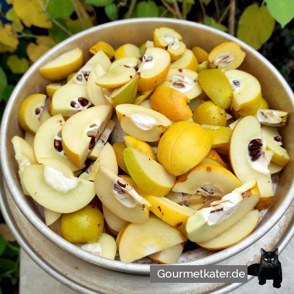 Meine Japanischen Quitten