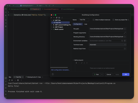 JetBrains Rider 2025.3 running dotnet 10 files with a special run configuration.