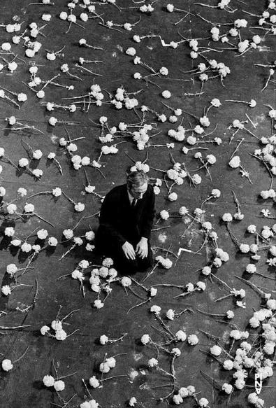 Overhead view of a man in a dark suit kneeling amidst a dark surface scattered with many white carnations.