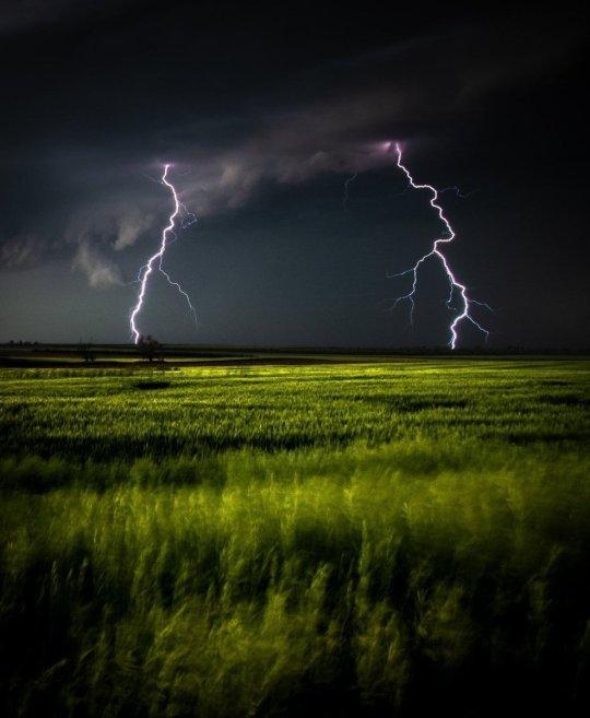 A double lightning in a green field at night.