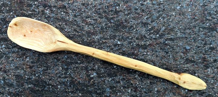 Picture of an unfinished spoon made with larch wood. At the very tip of the eating part there is a dark line, which used to be the center of the branch. From there, a fine, visible crack starts toward the right.