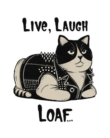 Drawing of a black and white cat in a sleeveless punk jacket. Cat is lying down in a loaf position. Black text reads "Life laugh loaf."