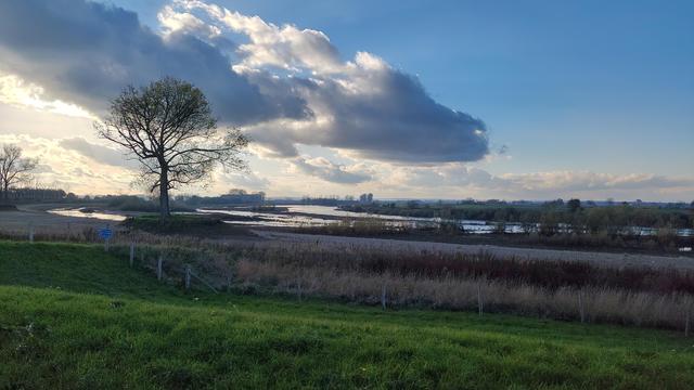 de maas, een boom en een dramatische wolken-partij
