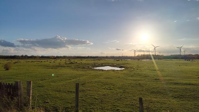 weiland met kleine poel, n de verte windmolens en de zon magistraal in een prachtige lucht