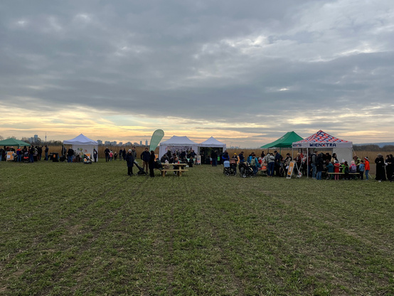Zelte mit Spielen und Info-Ständen auf einer Wiese, im Hintergrund der Donauturm und Hochhäuser von Wien