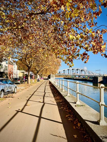 The first image captures a wide, paved promenade alongside a body of water. To the left, there are buildings and parked cars, suggesting an urban or town setting. A line of trees with bright yellow and orange autumn leaves runs along the promenade, creating striking shadows on the pavement. A white railing separates the promenade from the water on the right. In the distance, a metal bridge crosses the water under a clear blue sky.
