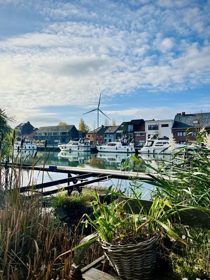 This photo captures a view of a marina or canal from a slightly elevated position, looking through foreground vegetation. In the immediate foreground, there are tall, dried reeds and some green leafy plants in a wicker pot. Beyond this, a row of boats is docked along the canal, with their white hulls and structures reflected in the water. Behind the boats, colourful houses with various rooflines and facades line the waterway. In the mid-ground, a prominent wind turbine stands tall against a partly cloudy sky, with patches of blue visible.