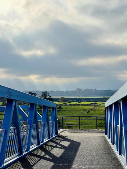 This image captures a perspective from within a modern, blue pedestrian bridge. The bridge has prominent, bright blue metal beams and white railings, creating a strong geometric pattern in the foreground. The path across the bridge is made of a grey, textured material. Looking beyond the bridge, a wide, open green field stretches into the distance under a cloudy, grey sky. A few distant trees are visible along the horizon, and one or two dark shapes, possibly animals like cows, can be seen grazing in the field.