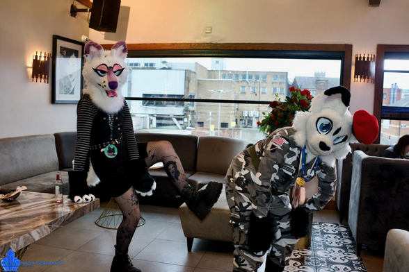 Raine (Violet and White Dog) posing to show herself kicking Lakewood (Black and White Cat) up the ass. 