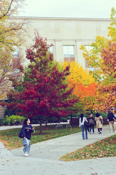 And the lower 1/3 of the image there are 5 students walking on concrete paths with lawn between them,  in the middle 1/3 are dark red, brown, yellow, orange and green trees and behind a classical style building and a featureless white sky