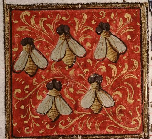 Within a square gilt frame, on a red background sprigged with thin gold branches, five bug-eyed insects are in formation (three above, two below). The insects have veined gauzy white wings folded on their backs and brown striped dark yellow bodies with pointed rears. Their heads are obscured by enormous dark brown round eyes. Image from Bibliothèque d’Amiens Métropole (Bibliothèque Louis Aragon), Ms. 399 (Livre des propriétés des choses), folio 144r.
