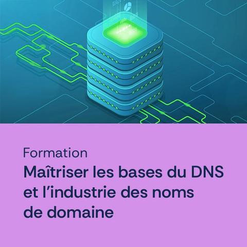 Formation Maîtriser les bases du DNS et l'industrie des noms de domaine.