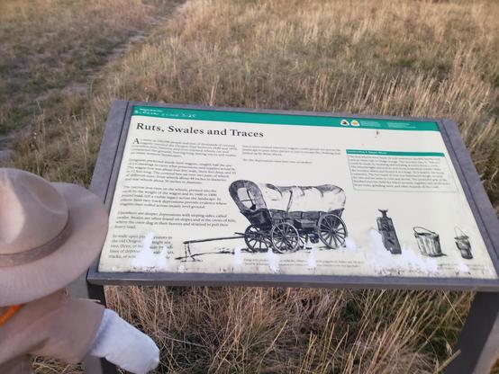 Ranger Sarah learns about the 350,000 people and tens of thousands of covered wagons traveled the Oregon Trail here between 1840 and 1870. Read the entire sign at https://www.hmdb.org/m.asp?m=124577
— in Soda Springs, ID.