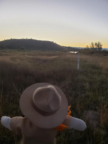 Ranger Sarah stands in the rut made from the thousands of wagons passing through here on the Oregon Trail and on the California Trail.
— in Soda Springs, ID.