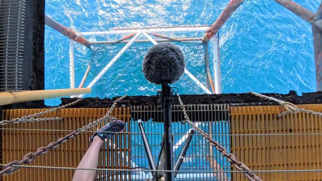Mic suspended under belly of deep sea tower.