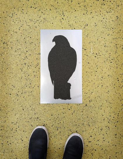 Mosaic of a falcon perched on a post on the floor of the Sacramento Airport.