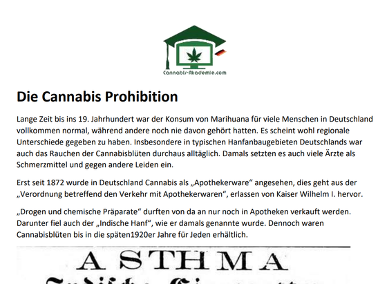 https://cannabis-akademie.com/wp-content/uploads/2023/01/Die-Cannabis-Prohibition.pdf

Der erste Antrag zum Verbot von Cannabis kam 1911 von der italienischen Regierung. In der italienischen Kolonie Lybien florierte der Handel mit Haschisch (Harz der Cannabis-Pflanze). Auf der ersten „Internationalen Opiumkonferenz“ von 1911 bis 1912 diskutieren die 13 beteiligten Länder neben Opium erstmals auch über Cannabis. Allerdings zog Italien seinen Antrag noch während der
Konferenz zurück.
