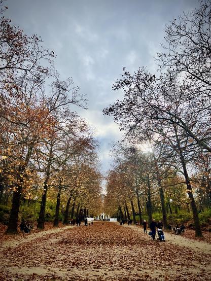 This image presents a broad, straight pathway in a park during autumn. The path itself is almost entirely covered with a thick carpet of fallen, light brown and orange leaves. Tall, slender trees with mostly bare branches, save for some pale brown and yellow leaves, line both sides of the path, creating a natural arch overhead. In the distance, the path narrows and leads towards what appears to be a structure or gateway. Several people are visible along the path, walking or pushing strollers, suggesting a leisurely atmosphere. The sky above is overcast, with a soft, diffused light filtering through the tree canopy.