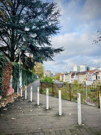 This photo shows an elevated wooden boardwalk or walkway, made of horizontal planks, extending into the distance. To the left, a tall wall is densely covered in dark green ivy, with some patches of graffiti visible at its base. White, cylindrical posts are spaced regularly along the left edge of the boardwalk, acting as a barrier or guide. To the right, a low metal railing with vertical bars separates the walkway from a drop-off, beyond which a view of distant buildings and a cloudy sky can be seen. Some fallen leaves are scattered on the boardwalk's surface.