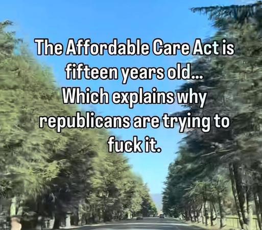 The image is a road lined with trees that has text stating, "The Affordable Care Act is fifteen years old...Which explains why republicans are trying to fuck it.". 