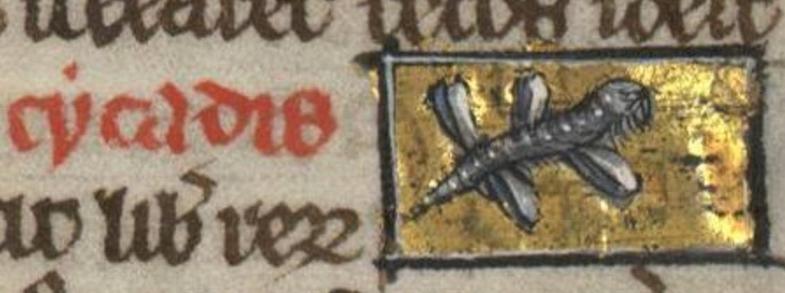 In a dark rectangular frame on a gilt background, a black insect with white spots along its spine and thin hair-like fronds on its underside appears to be hovering/swimming with four flat double-wings/fins extending from its sides. It has a sharply pointed rear and a blunted front with a very cross expression. It looks like a worm with wings/fins. Image from Bibliothèque Municipale de Valenciennes, MS 320 (Liber de natura rerum), folio 144r. 