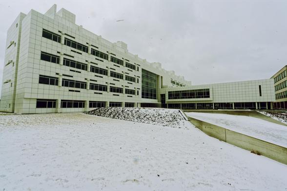 Striking building with in white with two sides and a berm engaging a courtyard
