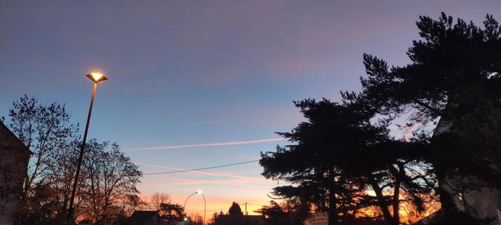 Lever du jour avec en avant plan des arbres en noir un bâtiment et un lampadaire, sur un ciel du matin bleu violet teinté de rose