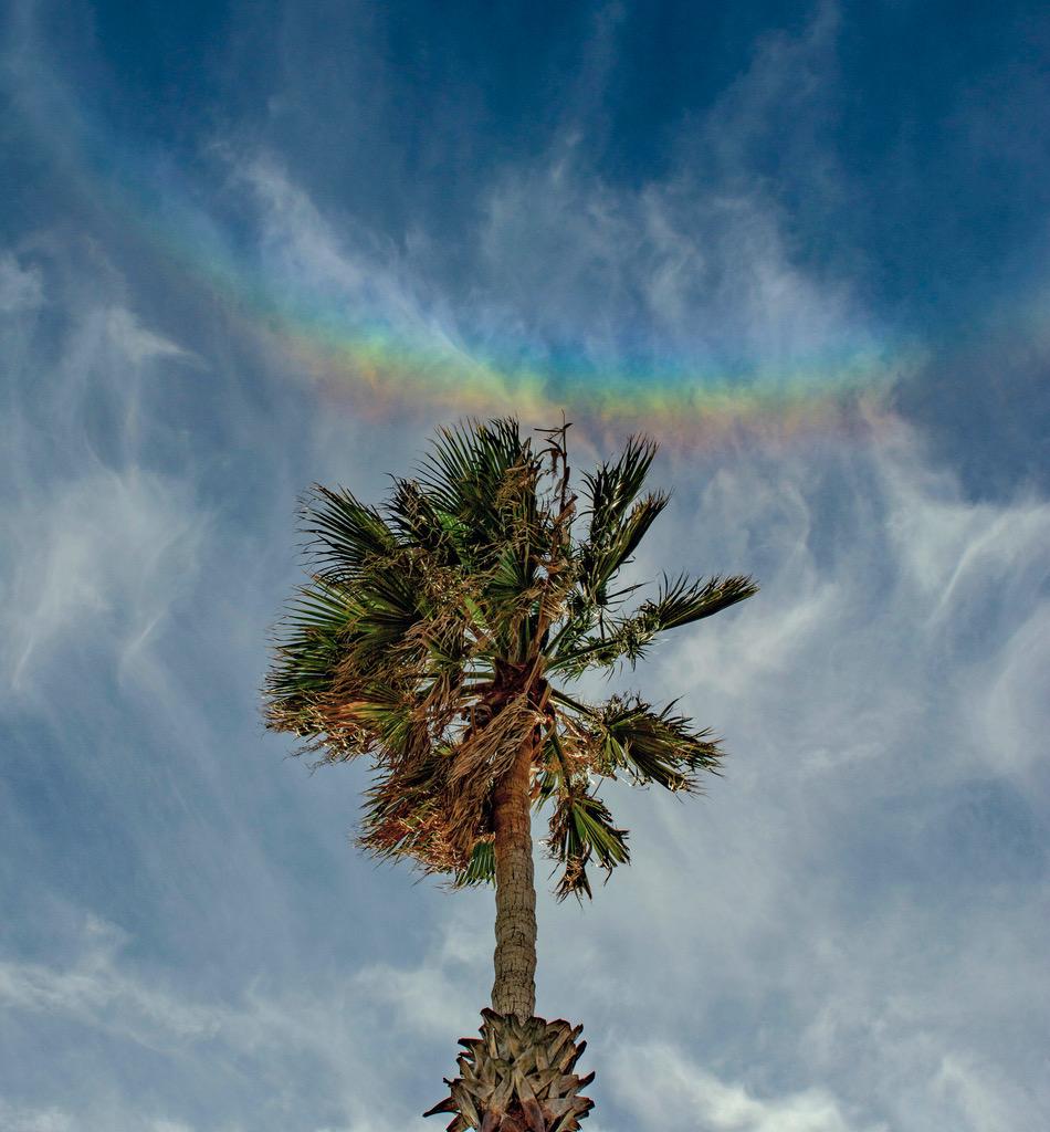 For circumzenithal arcs the zenith is at the center and red is on the outside, compared to rainbows whose arcs bend toward the horizon after a downpour. True rainbows are formed by water droplets refracting the sunlight to produce a spectrum of colors, though. Circumzenithal arcs are the product of refraction and reflection in flat hexagonal ice crystals, like the ice crystals that create sundogs, formed in high thin clouds.