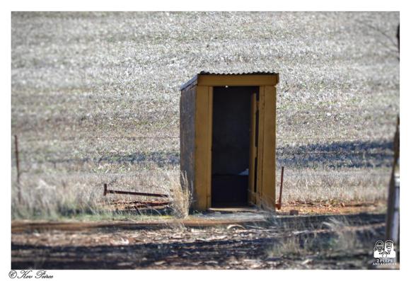 An old, single door wooden outhouse, commonly known as a 'dunny' in Australia, stands alone in a dry, grassy field.
The structure is painted a dull yellow/brown, has a corrugated iron roof, and the door is ajar, revealing a dark interior.
The foreground shows dry grass and dirt, with a faint fence line and a piece of rusted metal lying near the outhouse.
The background is a vast, blurred field of pale yellow and white dry stubble.