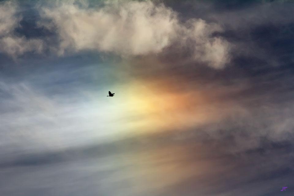 Alternatively, randomly oriented ice crystals may create a complete circular sun halo. Sundogs occur 22 degrees to each side of a setting or rising Sun, although sometimes nearby clouds can block one or both. The above image was taken through a polarizing filter during October 2012 in M�rida, Spain.
Image Credit & Copyright: Juan Manuel P�rez Rayego