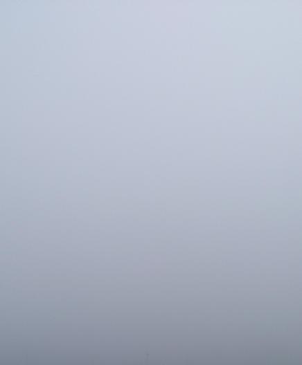 Nebel, wohin man sieht. 