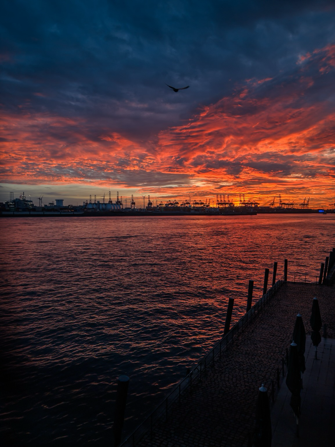 Der Hamburger Hafen; die untergehende Sonne beleuchtet die Wolken orange von unten. 