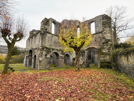 In der herbstlichen Stille steht die Ruine der Klosterkirche Arnsburg bei Lich. Goldenes Laub bedeckt den Boden, ein einzelner Baum leuchtet zwischen den grauen Mauern. Durch die offenen Bögen und Fenster fällt sanftes Licht – Geschichte scheint hier zu atmen.