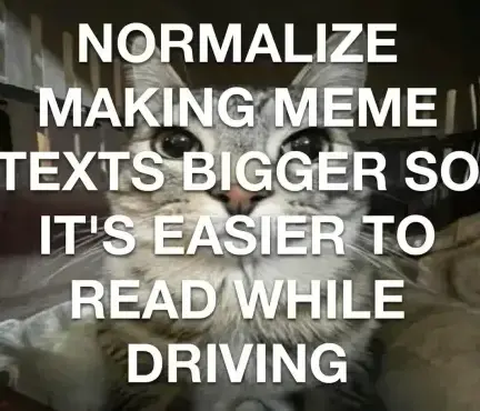 A picture of a cat, completely covered with large text that reads: normalize making meme texts bigger so it's easier to read while driving.