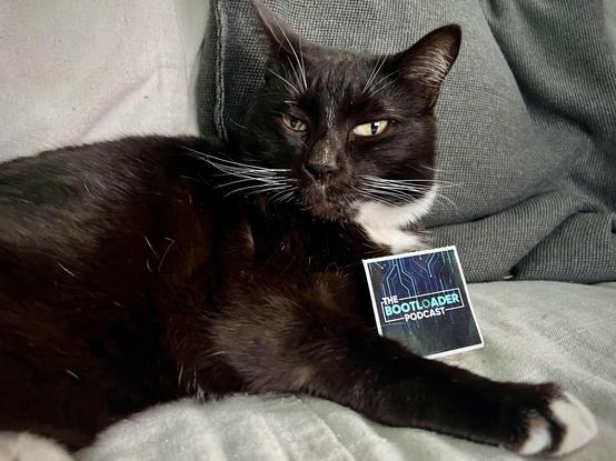 Sleepy brown tuxedo cat with a The Bootloader Podcast sticker propped up on him