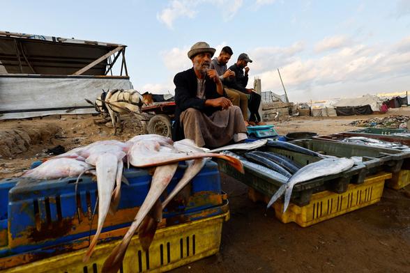 Palestinians sell fish in the harbour area.