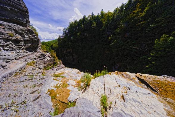 A view of a little bit of sky and the tree covered wall of a gorge fills the upper right of the frame,  the rest is a brightly lit outcropping of rock with a few plants and some moss growing on it