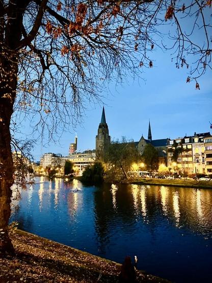 This image captures a vibrant city scene at dusk or night, looking across a wide body of dark blue water towards a lit-up cityscape, framed by an autumnal tree in the foreground.
On the far left, a large, dark tree trunk with bare, intricate branches and a few clusters of dried, reddish-brown leaves rises, suggesting autumn or early winter. At the bottom right, a person with reddish-brown hair, wearing a dark jacket, sits by the water's edge, looking out.
The midground is dominated by the dark, deep blue water of a river or canal. Its calm surface reflects the bright yellow and white lights from the opposite bank in shimmering vertical streaks. A small, dark object, possibly a boat, is visible on the water.
On the far bank, the brightly lit city skyline features a long row of multi-story buildings with illuminated windows. A large, grey stone church with a tall, pointed spire and turrets dominates the center-left. To its left, a taller, modern building also stands out. Streetlights cast pools of light, and faint car headlights or taillights can be seen along a road.
The sky above the cityscape is a dark, clear blue, transitioning from lighter near the horizon. The overall impression is one of a lively urban evening, with warm city lights reflecting on the dark water, creating a sense of combined peace and activity.