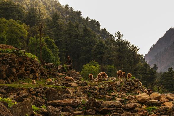 #JammuKashmir #Investment2025 #MakeInIndia #IndustrialGrowth #RealEstate #ShubhdeepInfra