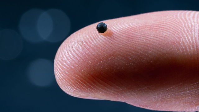 Càpsula microrobot a sobre d'un dit humà (Luca Donati / lad.studio Zürich)