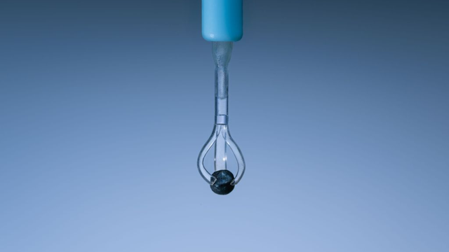 Càpsula microrobot agafada amb la pinça de l'extrem d'un catèter (lad.studio Zürich/Luca Donati)