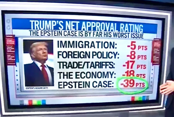 screenshot of a TV-screen showing Trump's Net Approval Rating.
The Epstein Case is By Far His Worst Issue

Immigration: - 5 pts
Foreign Policy: -8 pts
Trade/Tariffs: - 17 pts
The Economy: - 18 pts
Epstein Case: - 39 pts
