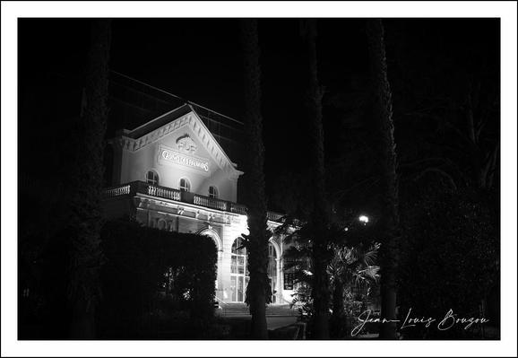 This image, rendered in dramatic black and white, captures a night scene centered on an elegant, illuminated building. The building's architecture is classical, featuring a triangular pediment and a balcony that stretches across the upper level, hinting at a historical or significant establishment. The light spilling from the building creates striking contrasts against the dark sky, highlighting its structural details and giving it a mysterious, almost haunting aura.
Tall palm trees frame the scene, their vertical silhouettes piercing the darkness and providing a stark contrast to the horizontal lines of the building. The interplay of light and shadow in the foliage adds texture and depth, suggesting a quiet, perhaps contemplative atmosphere.
The black and white palette contributes to the timelessness of the image, evoking a sense of nostalgia and elegance. 
Symbolically, the scene could evoke themes of solitude or the quiet grandeur of history, with the illuminated building standing resilient and proud amid the enveloping night. The choice to highlight the palms along with the classical architecture may hint at a specific geographic or cultural setting, where nature and history coexist as silent witnesses to time.